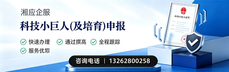 上饶科技小巨人及培育企业申报服务