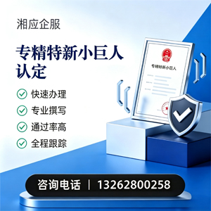 上饶专精特新小巨人申报服务
