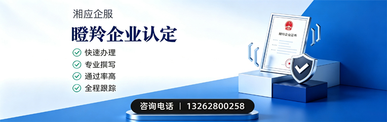 上饶瞪羚企业认定申报服务