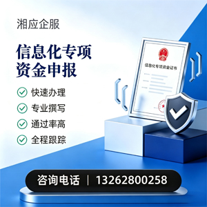 上饶信息化专项资金申报服务