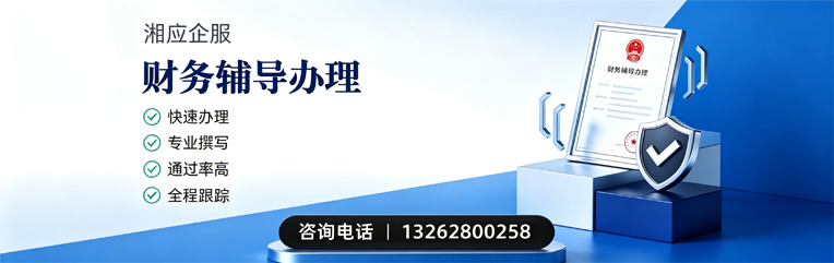 上饶财务辅导申请服务
