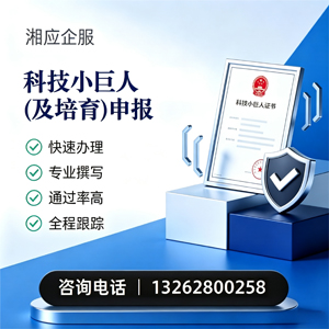 上饶科技小巨人及培育企业申报服务