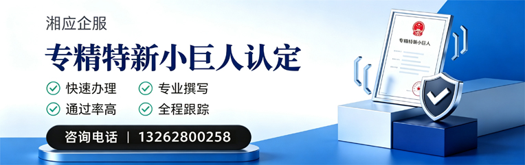 上饶专精特新小巨人申报服务